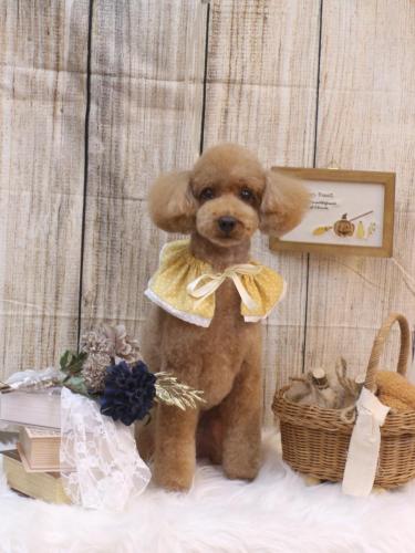 20241012カイくん